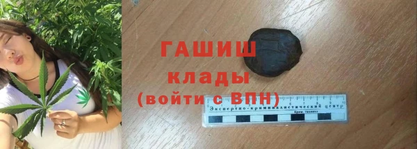 шишки Кодинск