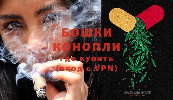 шишки Кодинск