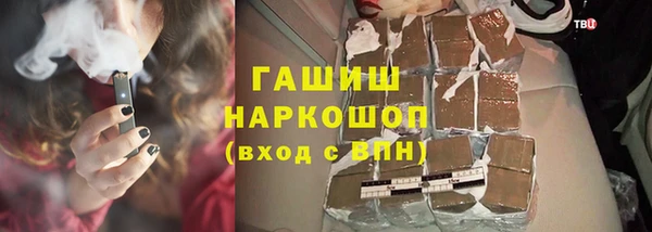 шишки Кодинск