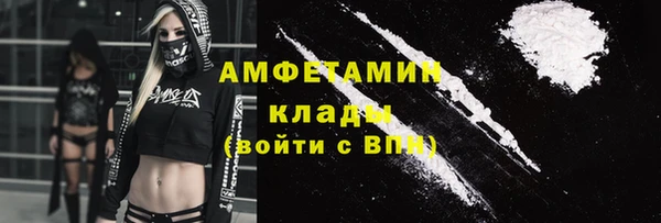 шишки Кодинск