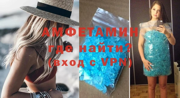 шишки Кодинск