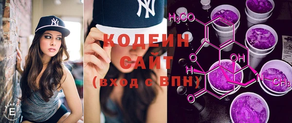 шишки Кодинск