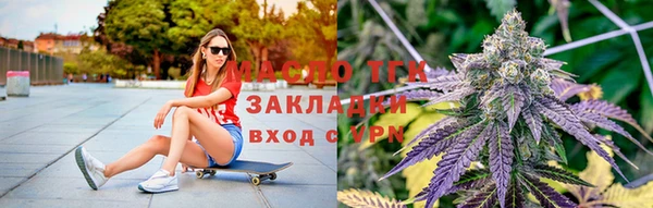 шишки Кодинск