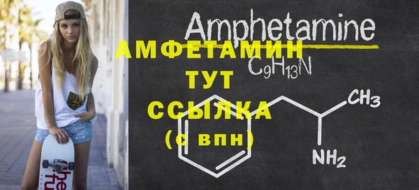 шишки Кодинск