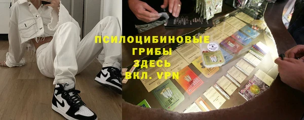 шишки Кодинск
