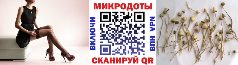 Псилоцибиновые грибы мицелий  Купить где  Светлый 